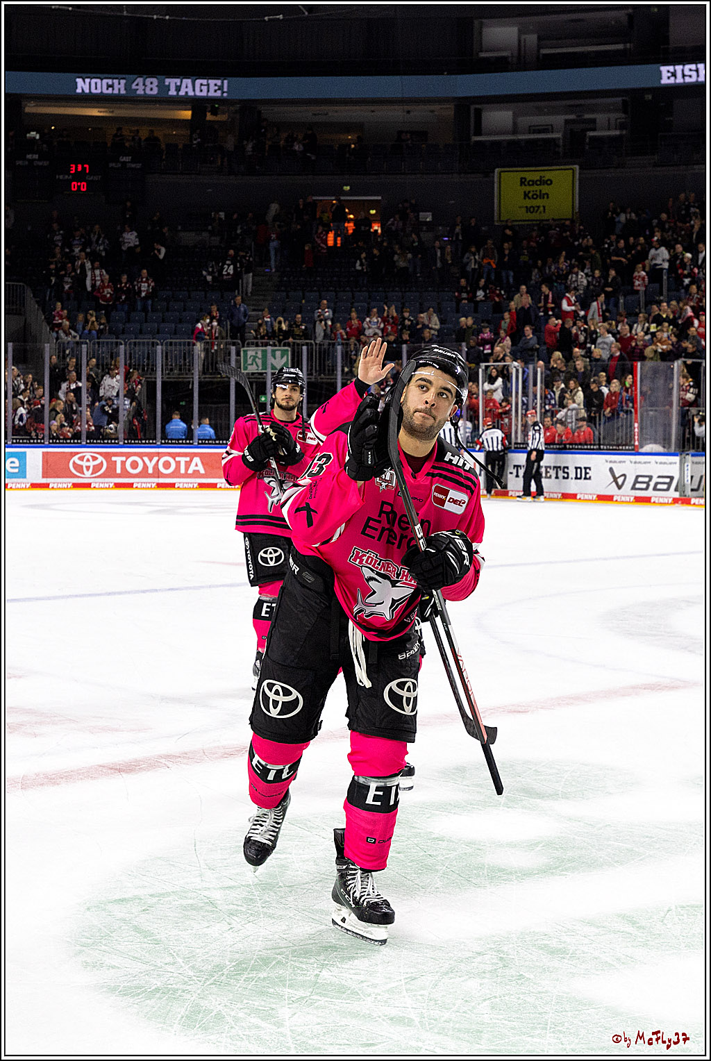 PENNY DEL;  Kölner Haie - Eisbären Berlin; Köln, 16.10.2022